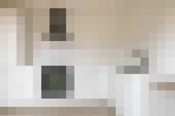 Zebraspoor 151 Maarssen thumbnail 18