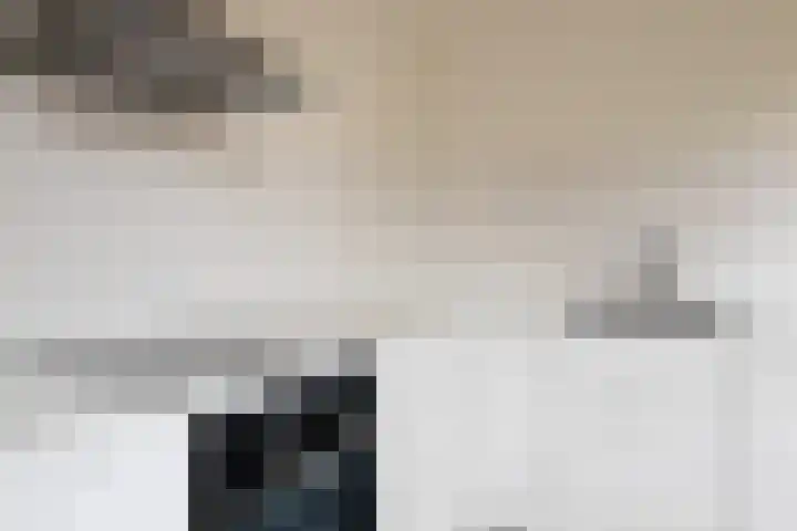 Zebraspoor 151 Maarssen thumbnail 19