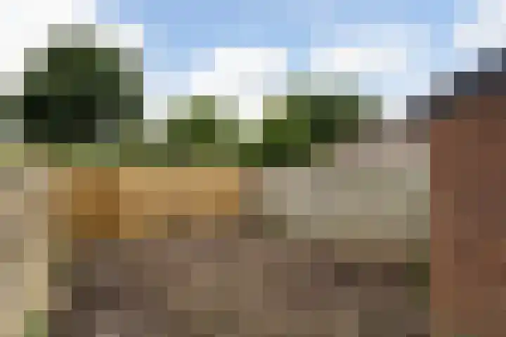 Zebraspoor 151 Maarssen thumbnail 43