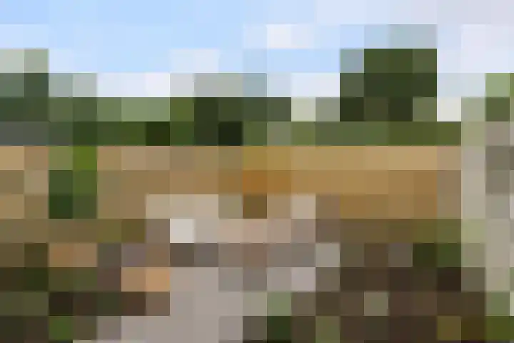 Zebraspoor 151 Maarssen thumbnail 45
