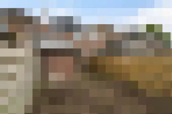 Zebraspoor 151 Maarssen thumbnail 46