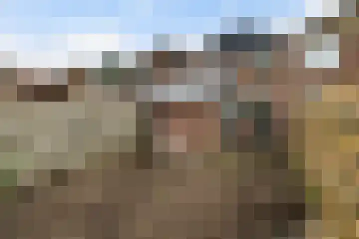 Zebraspoor 151 Maarssen thumbnail 47