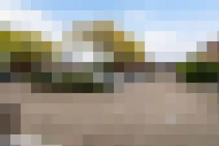 Zebraspoor 151 Maarssen thumbnail 51