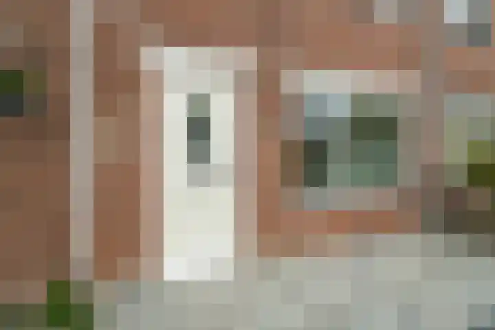 Zebraspoor 151 Maarssen thumbnail 6