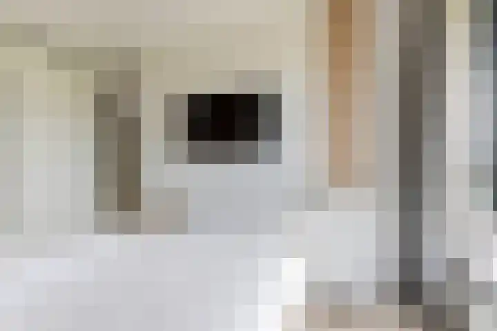 Zeddamerf 37 Tilburg thumbnail 20