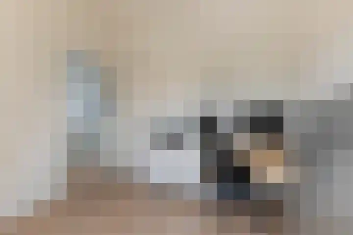 Zeddamerf 37 Tilburg thumbnail 29
