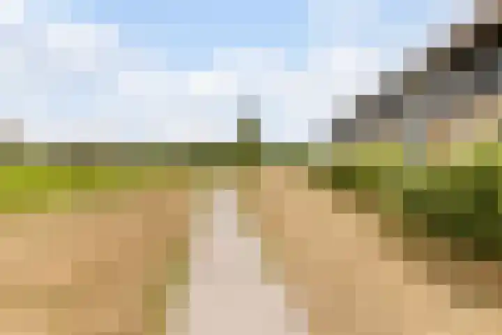 Zeddamerf 37 Tilburg thumbnail 33