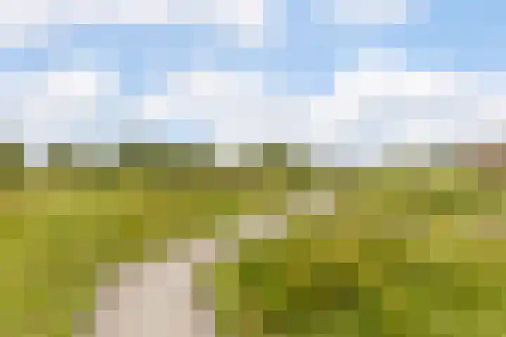 Zeddamerf 37 Tilburg thumbnail 35