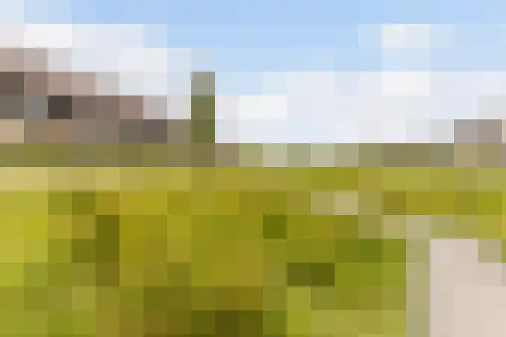 Zeddamerf 37 Tilburg thumbnail 36