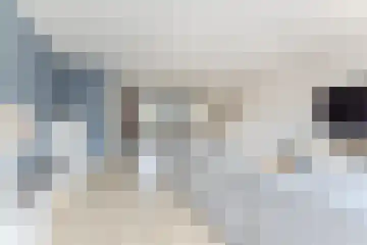 Zeddamerf 37 Tilburg thumbnail 7