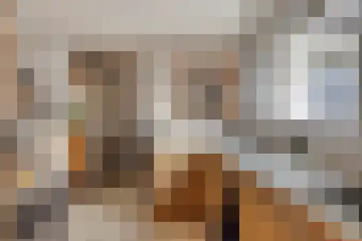 Zeeanemoonweg 39 Renesse thumbnail 10