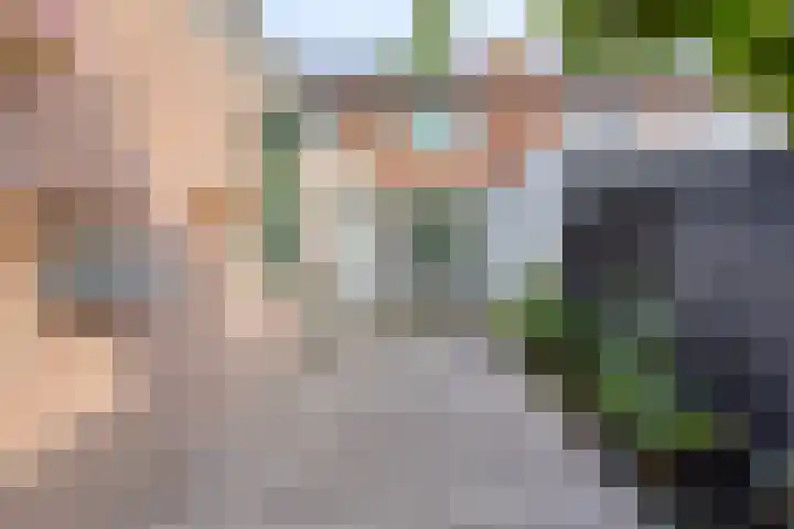 Zeeanemoonweg 39 Renesse thumbnail 19