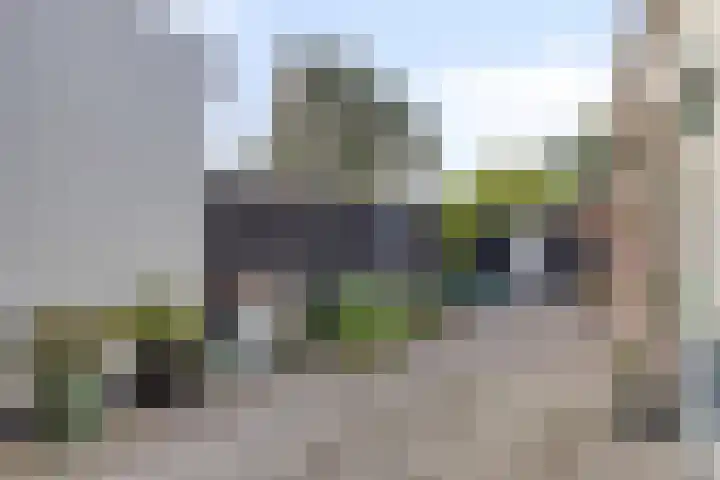 Zeeanemoonweg 39 Renesse thumbnail 20