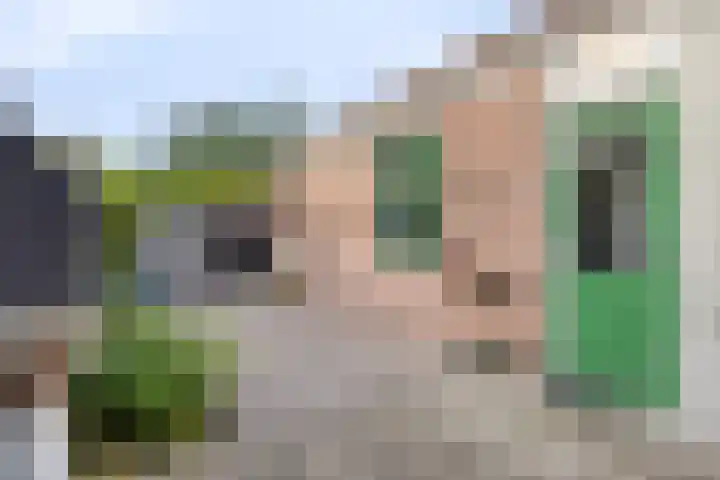 Zeeanemoonweg 39 Renesse thumbnail 21