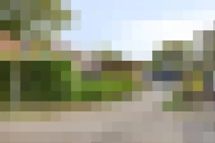 Zeeanemoonweg 39 Renesse thumbnail 24