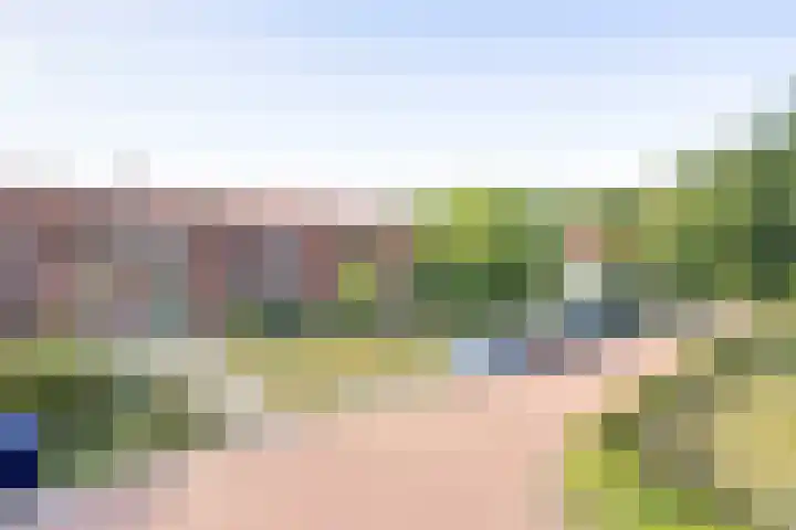 Zeeanemoonweg 39 Renesse thumbnail 26