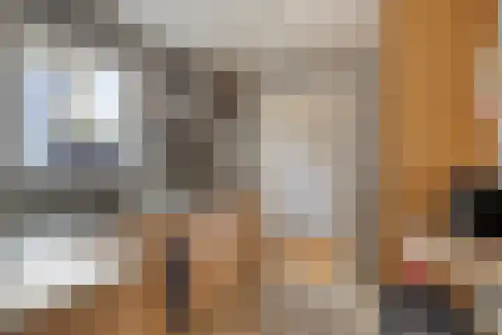 Zeeanemoonweg 39 Renesse thumbnail 9
