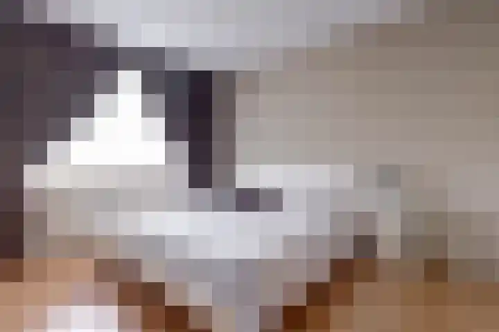 Zeearend 24 Monster thumbnail 10