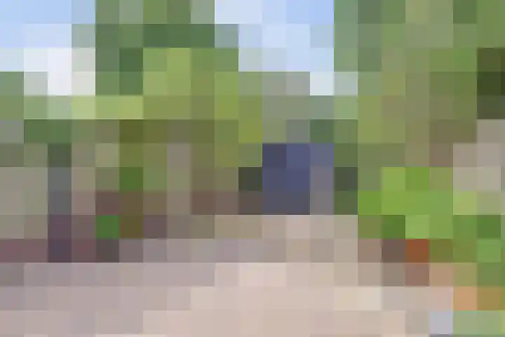 Zeearend 24 Monster thumbnail 20