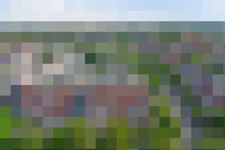 Zeearend 24 Monster thumbnail 24