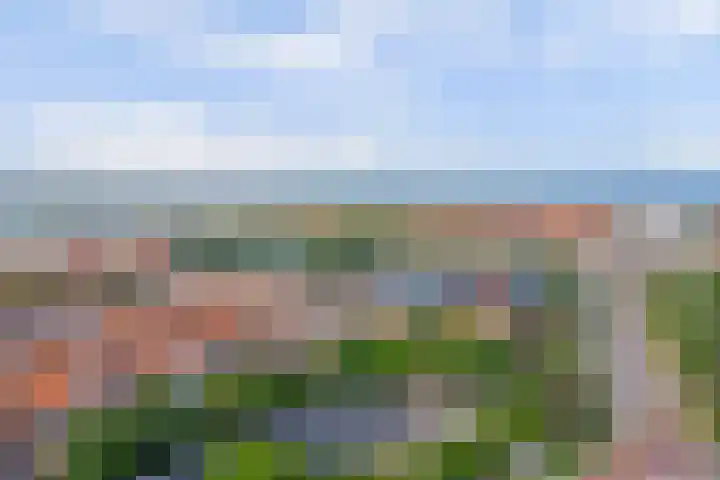 Zeearend 24 Monster thumbnail 25