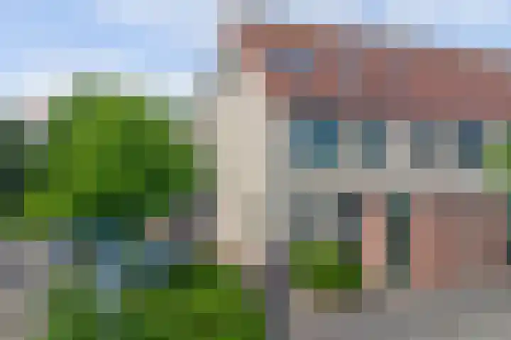 Zeearend 24 Monster thumbnail 26