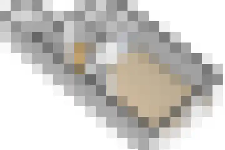 Zeearend 24 Monster thumbnail 29