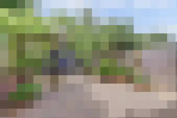 Zeearend 24 Monster foto 3