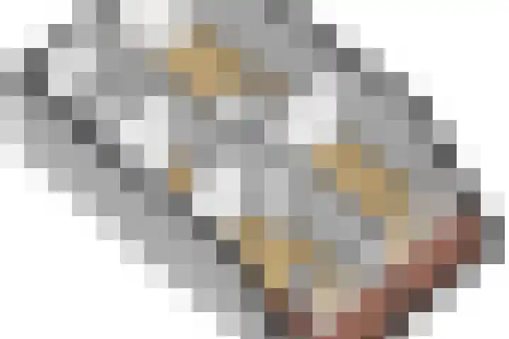 Zeearend 24 Monster thumbnail 31