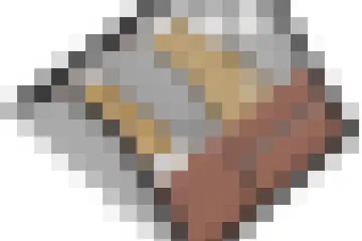 Zeearend 24 Monster thumbnail 33