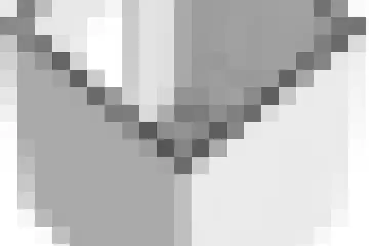 Zeearend 24 Monster thumbnail 35