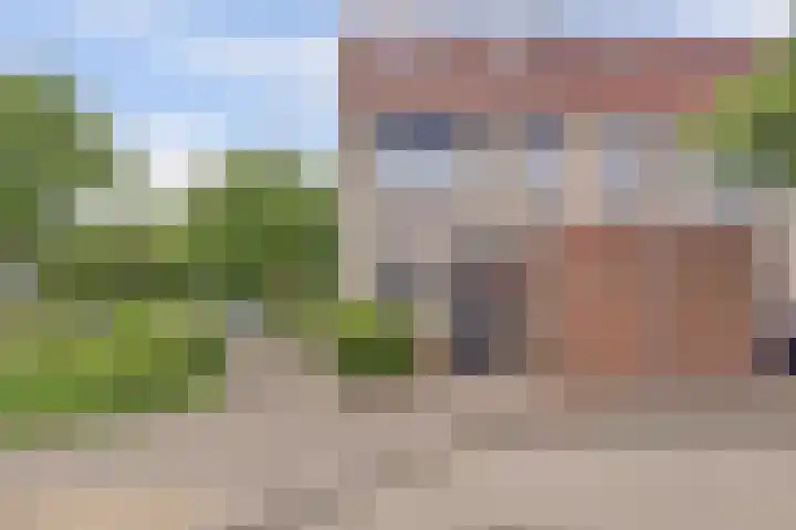 Zeearend 24 Monster thumbnail 38
