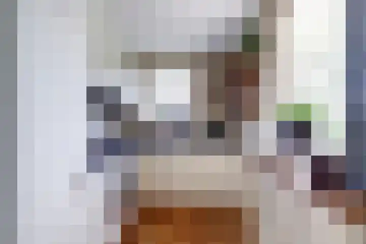 Zeearend 24 Monster thumbnail 8