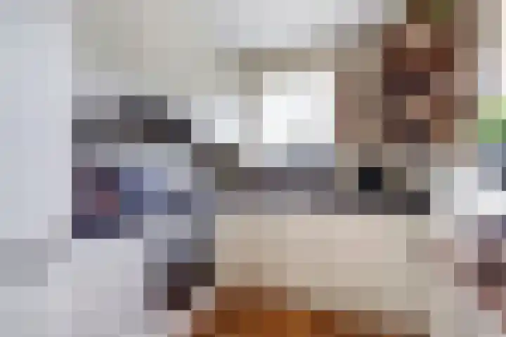 Zeearend 24 Monster thumbnail 9