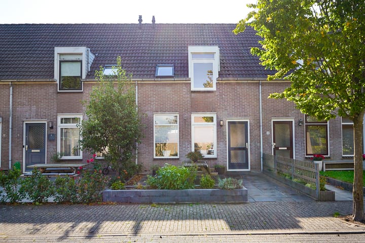 Zeeaster 3 in Oosthuizen foto