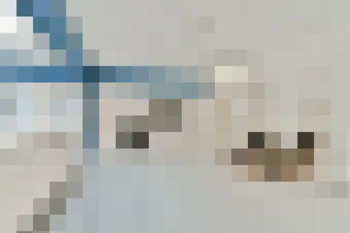 Zeeburgerkade 664 Amsterdam thumbnail 23