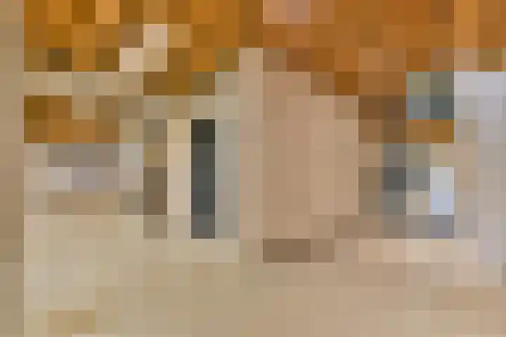 Zeeburgerkade 664 Amsterdam thumbnail 26