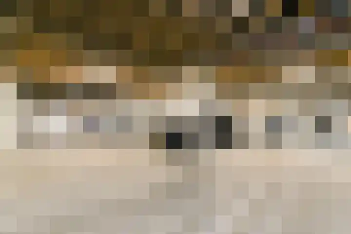 Zeeburgerkade 664 Amsterdam thumbnail 27