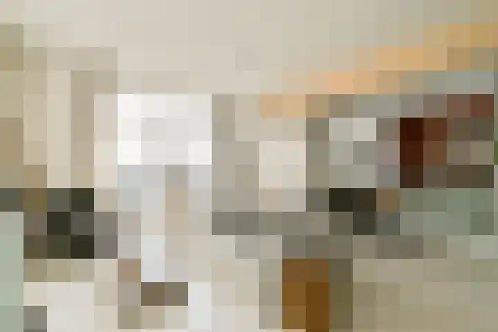Zeeburgerkade 664 Amsterdam thumbnail 8
