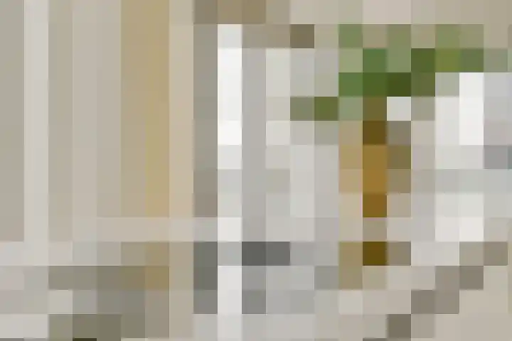 Zeeburgerkade 932 Amsterdam thumbnail 18