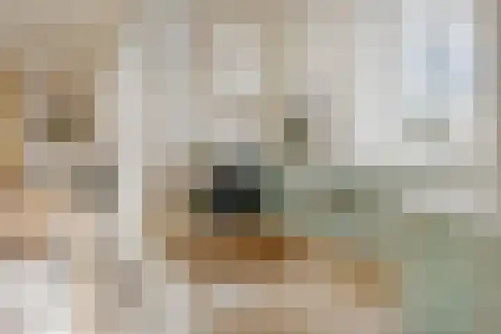 Zeeburgerpad 140 Amsterdam thumbnail 12