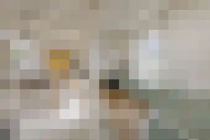 Zeeburgerpad 140 Amsterdam thumbnail 20