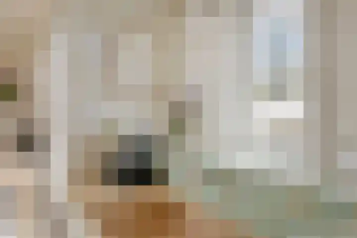 Zeeburgerpad 140 Amsterdam thumbnail 21
