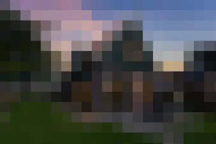Zeedijk 2 430 Uitdam thumbnail 5
