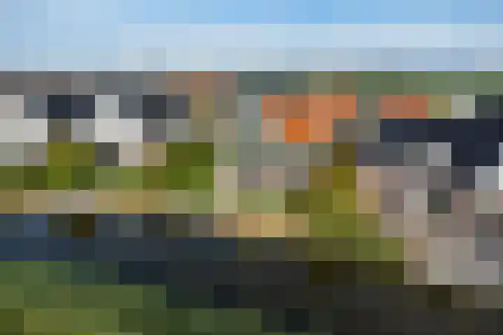 Zeedijk 2 430 Uitdam thumbnail 57