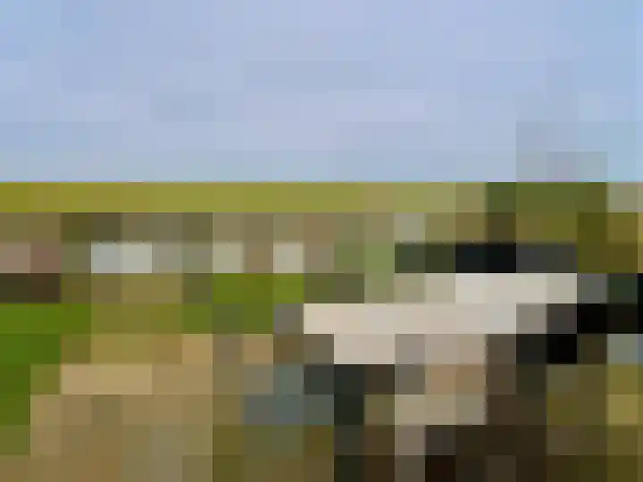 Zeedijk 2 438 Uitdam thumbnail 20