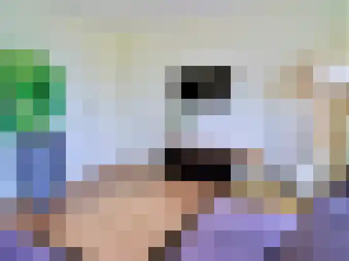 Zeedijk 2 438 Uitdam thumbnail 4