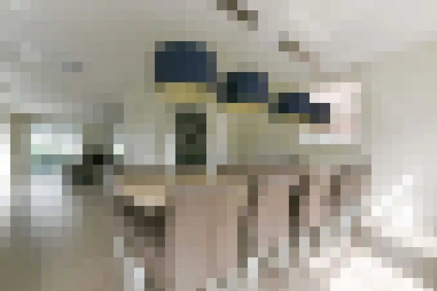 Zeedijk 2 627 Uitdam thumbnail 12