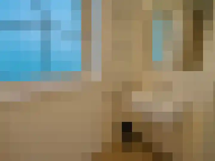 Zeedijk 2 637 Uitdam thumbnail 9