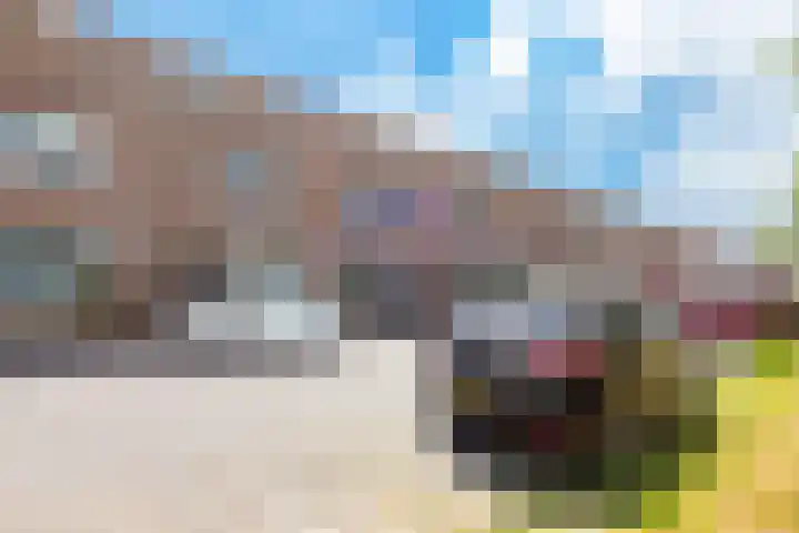 Zeedistel 33 De Meern thumbnail 19